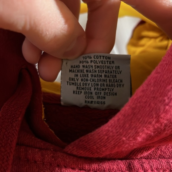 Iowa State Hoodie - Picture 3 of 4